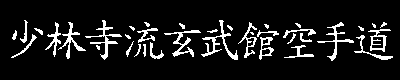 shorinjiryu genbukan karatedo kanji